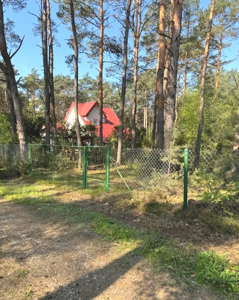 832215 - zdjęcie nr 2