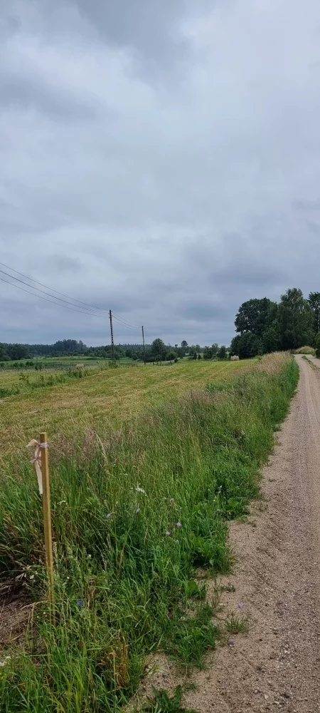 833322 - zdjęcie nr 0