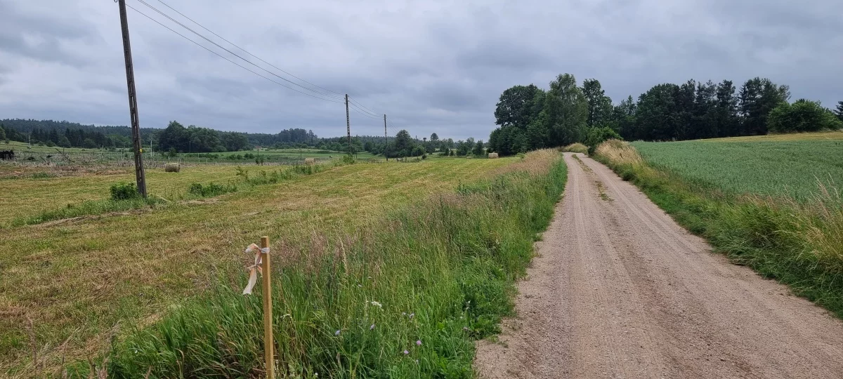 833322 - zdjęcie nr 3