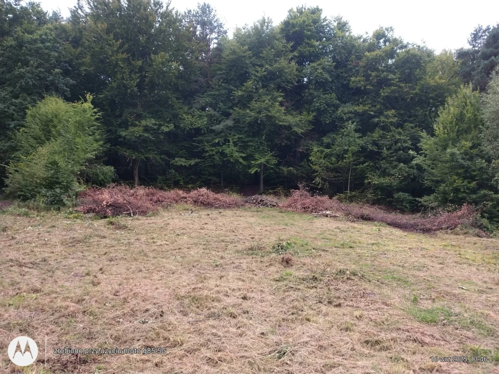 Działka 907,00 m², oferta nr , 833957, Kielce, Zalesie, Przegony