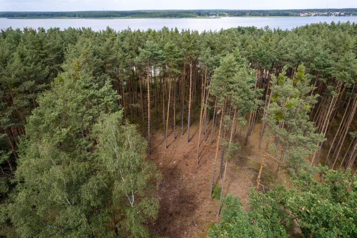 833638 - zdjęcie nr 3