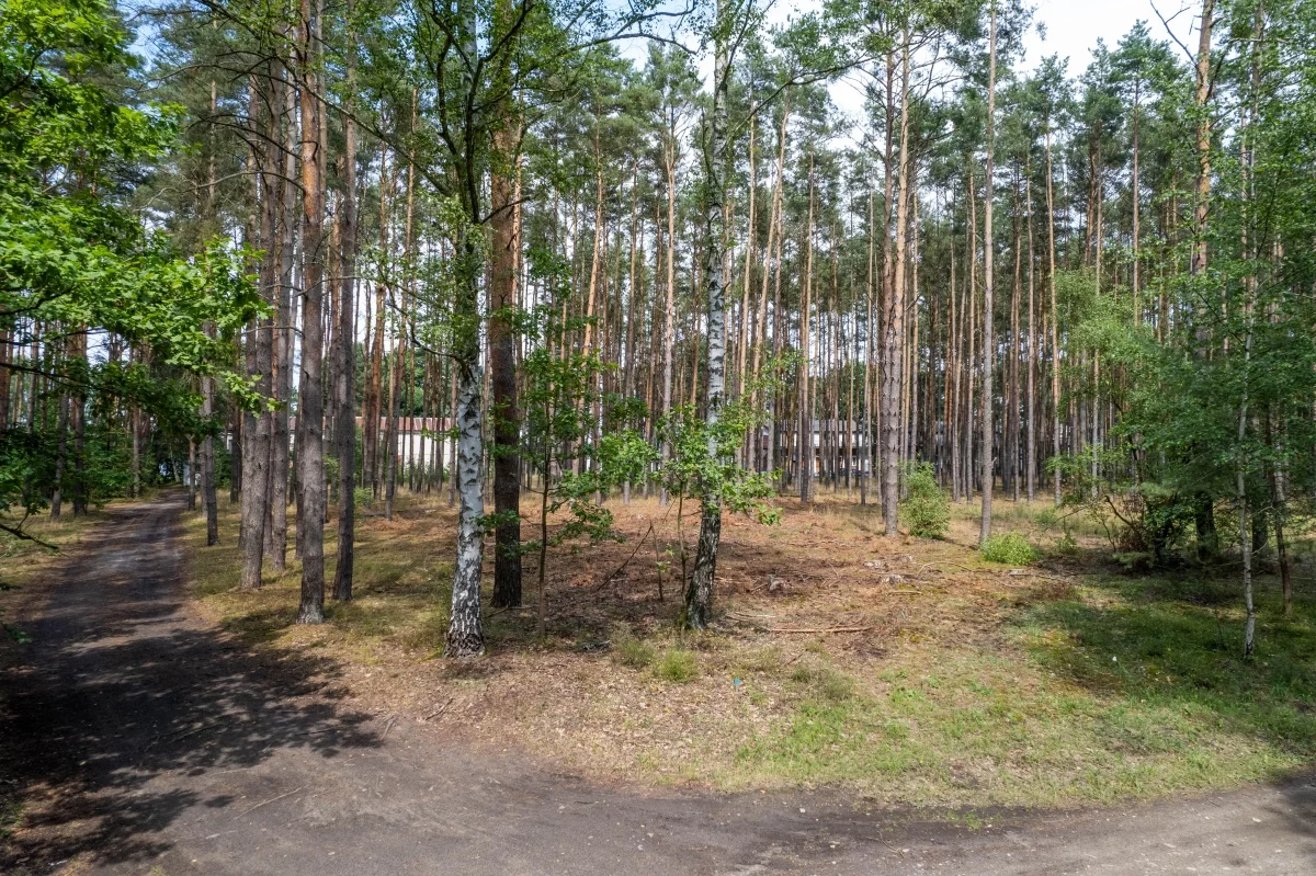 833638 - zdjęcie nr 4