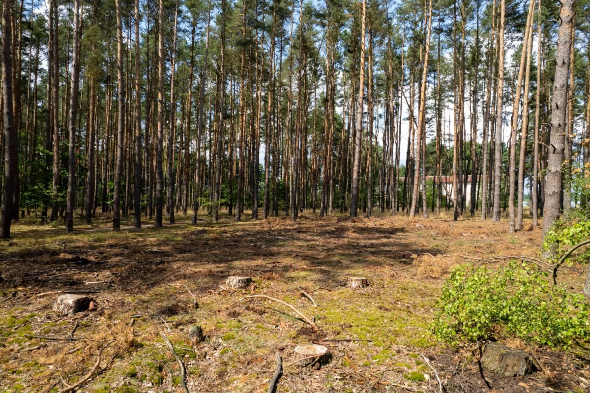 Działka 664,00 m², oferta nr , 833638, Sława, Radzyń ul. Słoneczna