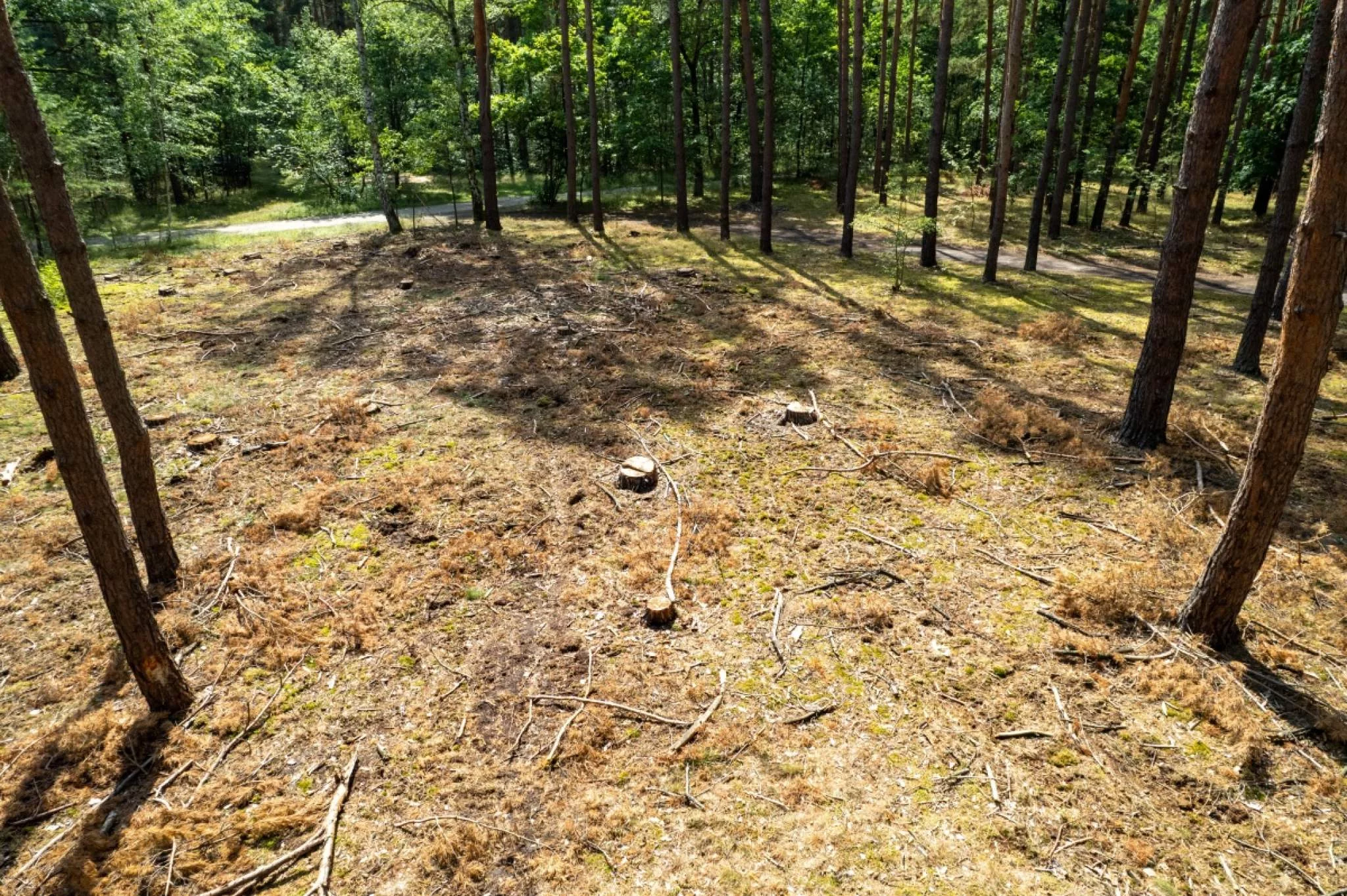 Działka 664,00 m², oferta nr , 833638, Sława, Radzyń ul. Słoneczna