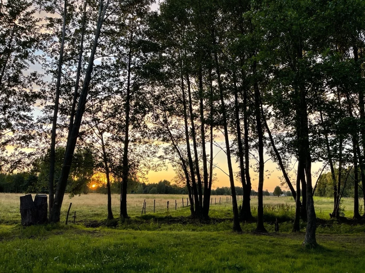 Działka 3 000,00 m², Secymin Polski, Sprzedaż