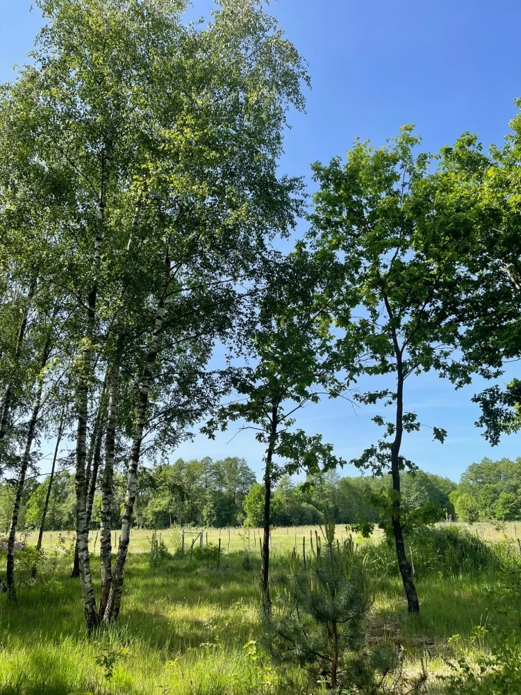 Działka 3 000,00 m², oferta nr , 831688, Secymin Polski