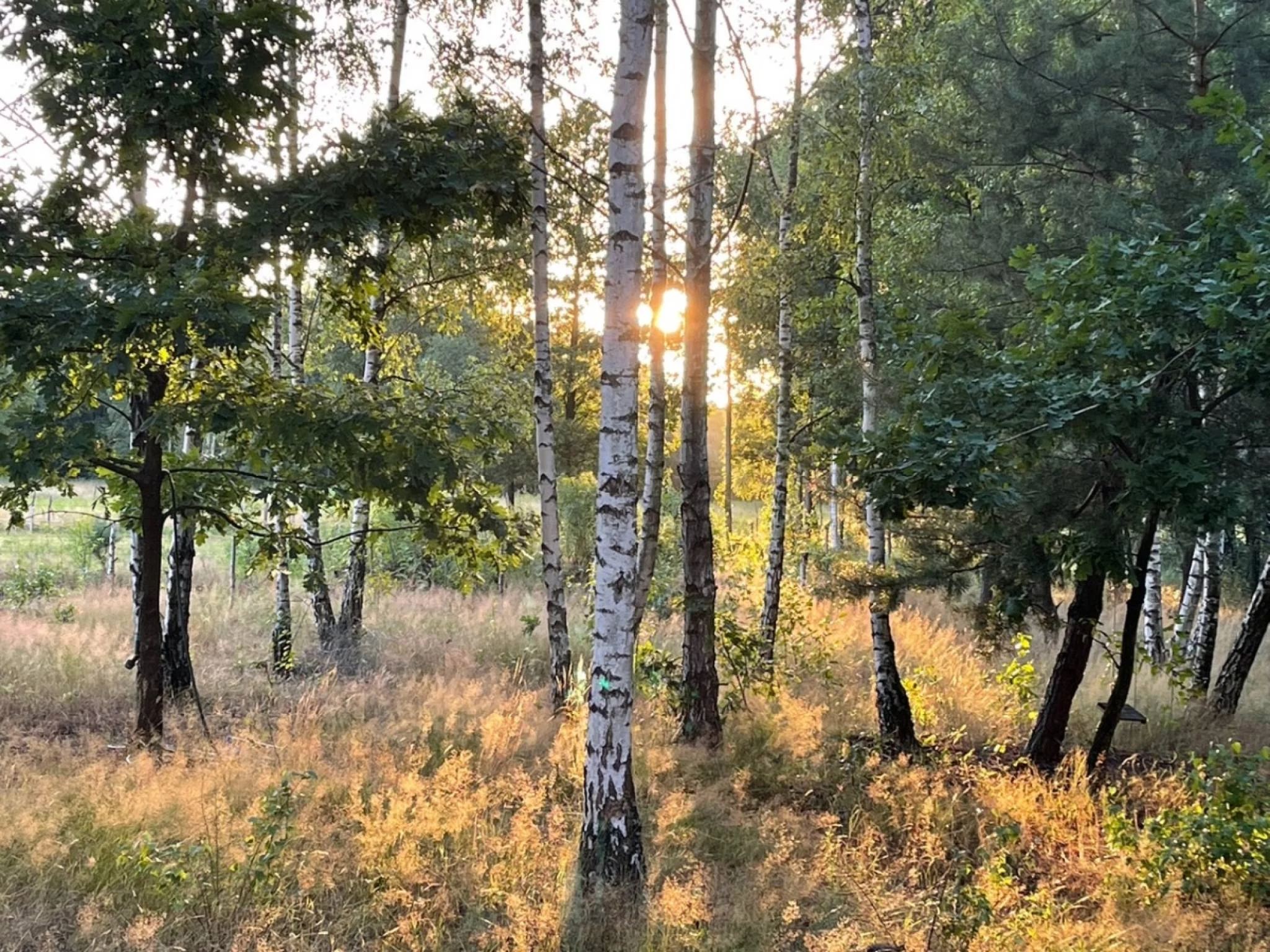 Działka 3 000,00 m², oferta nr , 831689, Secymin Polski