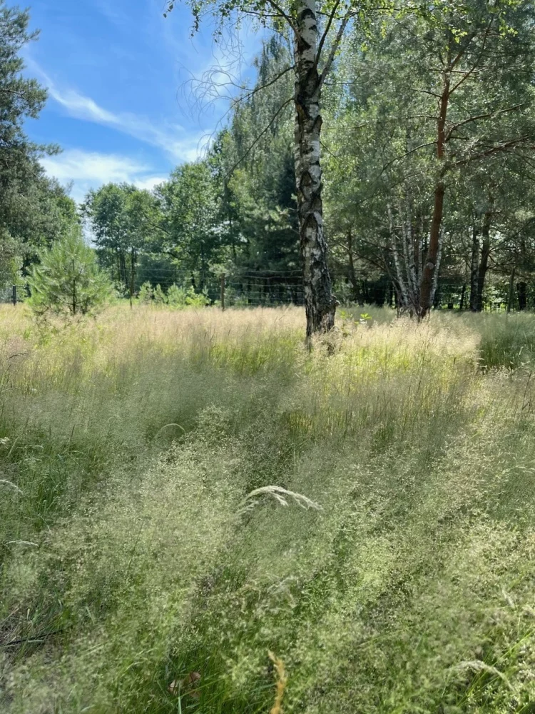 Działka 3 000,00 m², oferta nr , 831689, Secymin Polski