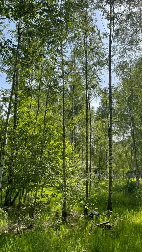 Działka 3 000,00 m², oferta nr , 831689, Secymin Polski