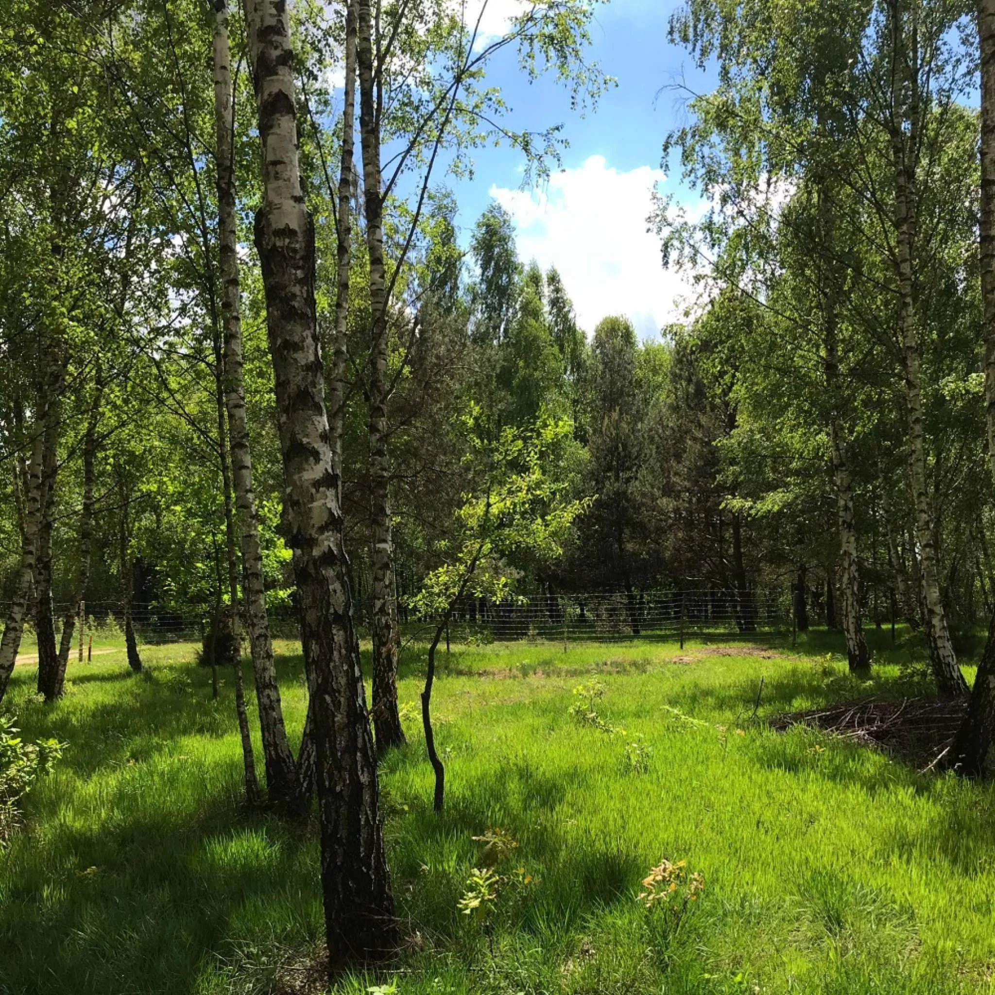 Działka 3 000,00 m², oferta nr , 831689, Secymin Polski
