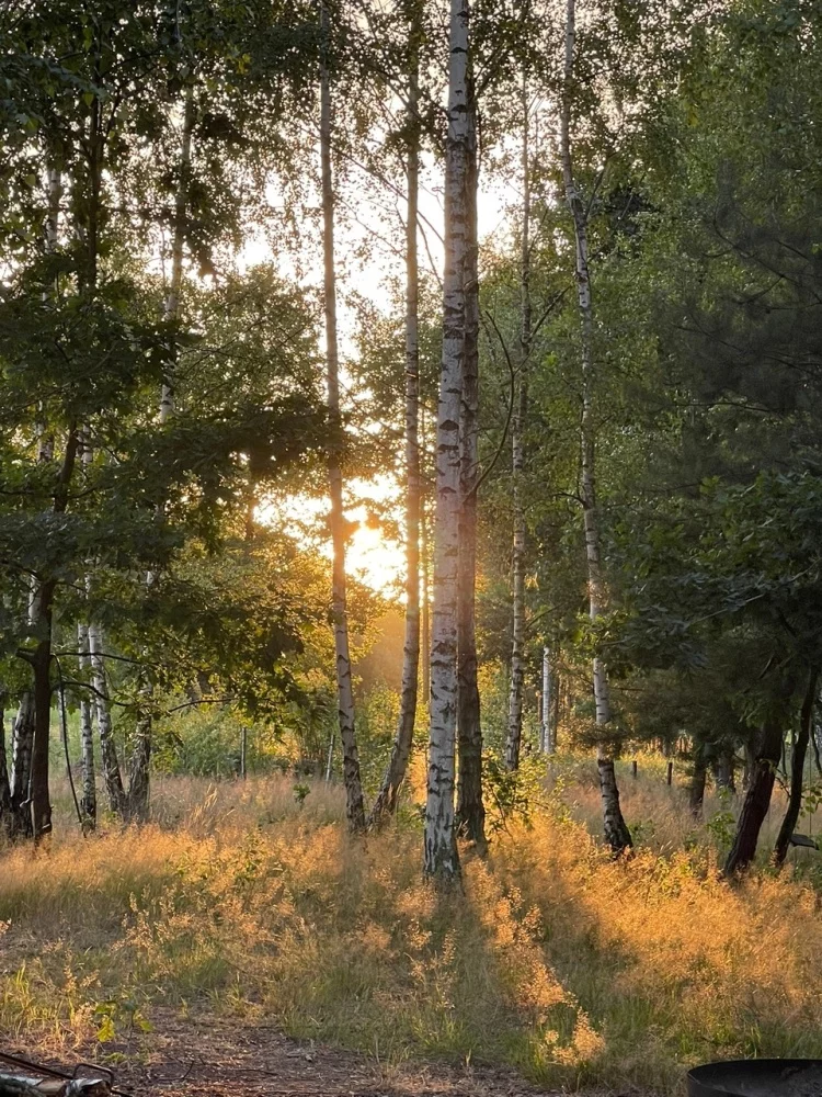 Działka 3 000,00 m², oferta nr , 831689, Secymin Polski