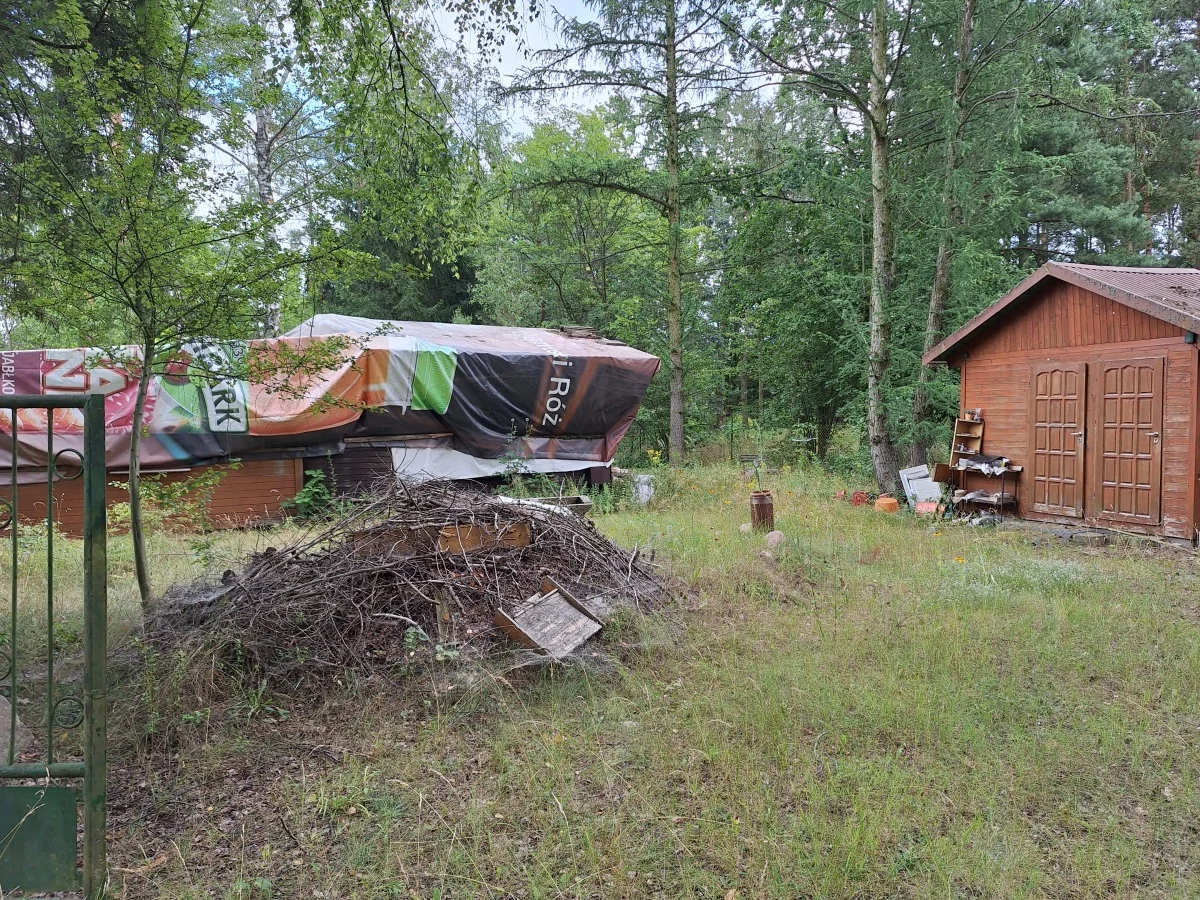 833422 - zdjęcie nr 0