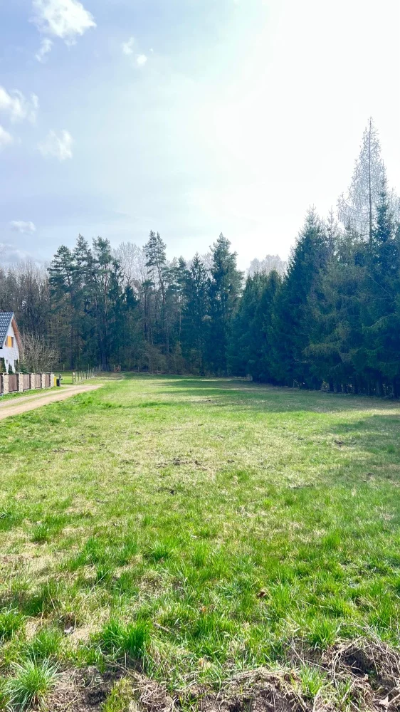 Działka 3 274,00 m², Wasilków, Sielachowskie, Sprzedaż