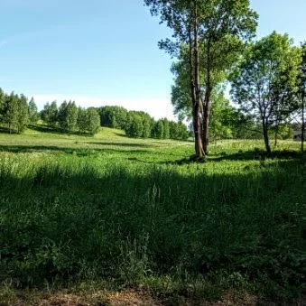 Działka 3 050,00 m², oferta nr , 833632, Sorkwity