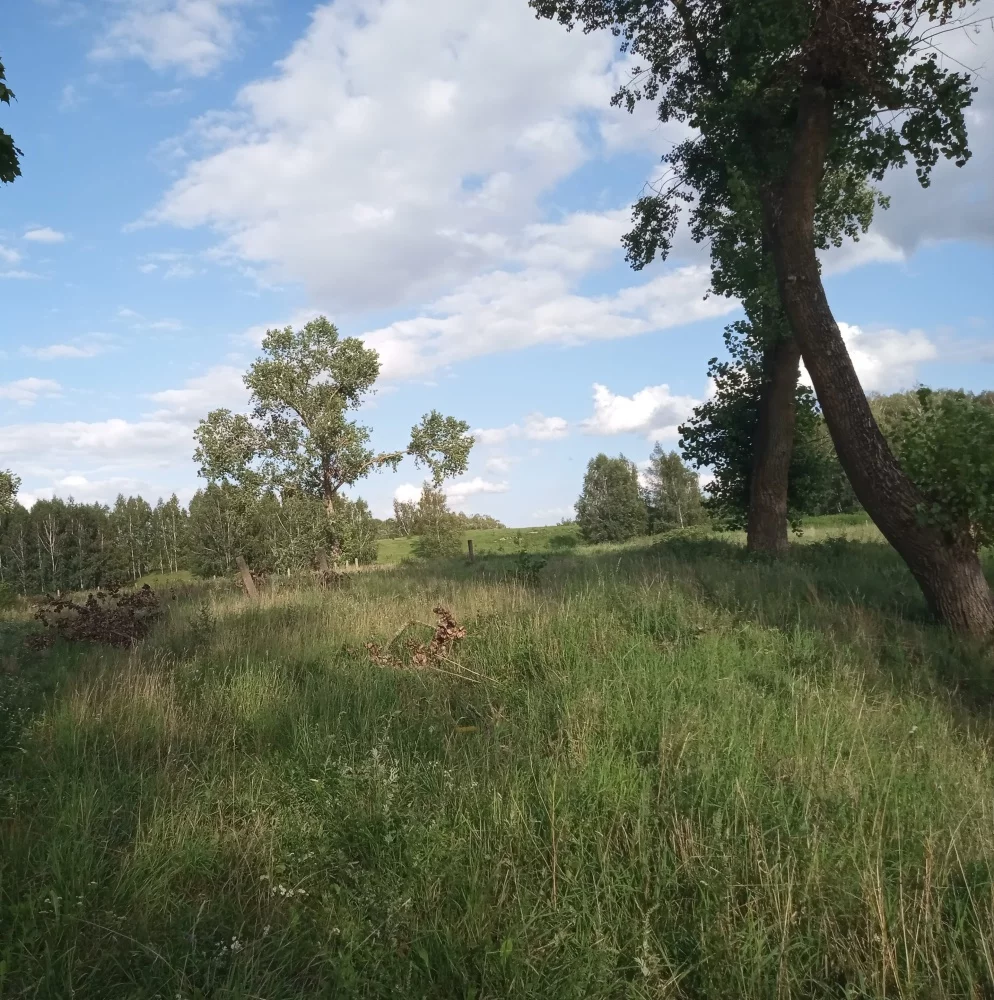 Działka 3 050,00 m², oferta nr , 833632, Sorkwity