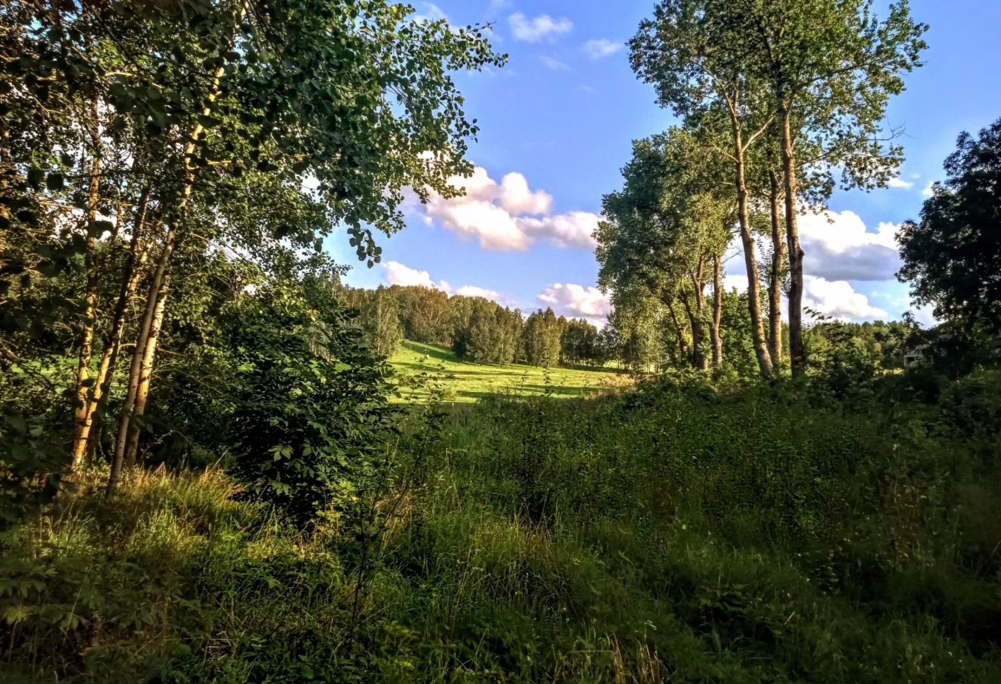 Działka 3 050,00 m², oferta nr , 833632, Sorkwity