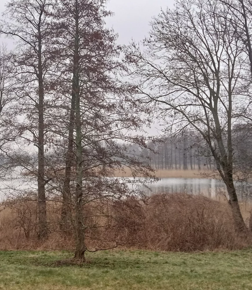 Działka 3 050,00 m², oferta nr , 833632, Sorkwity