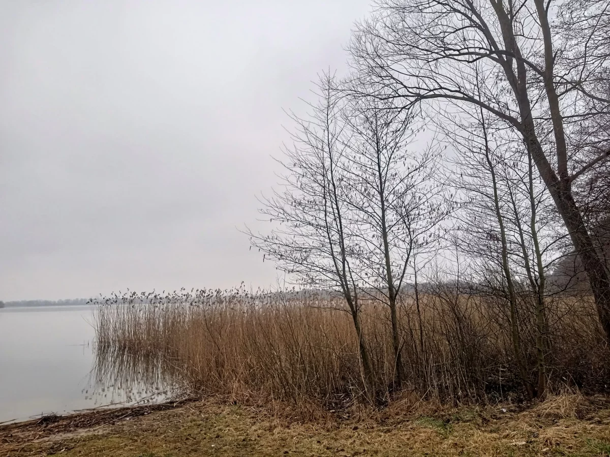 Działka 3 060,00 m², oferta nr , 833701, Sorkwity