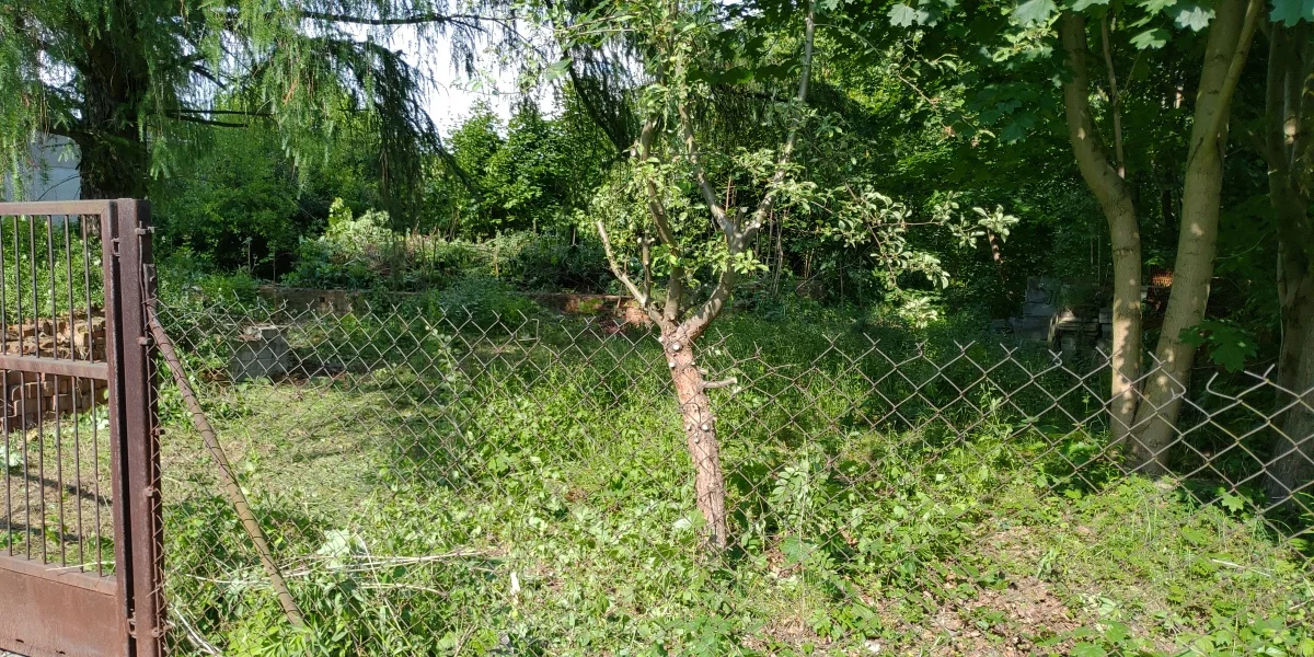 833585 - zdjęcie nr 0