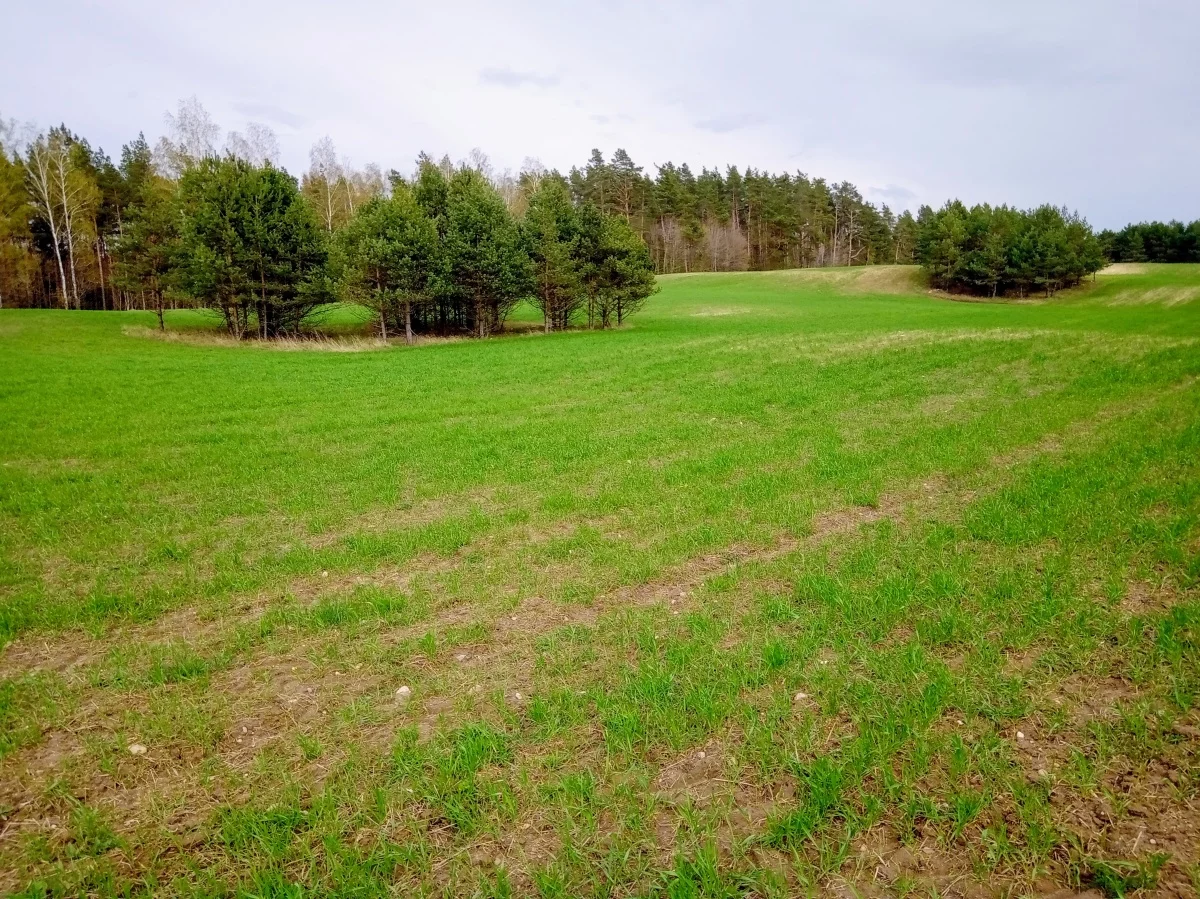 Działka 3 000,00 m², oferta nr , 828719, Stare Juchy