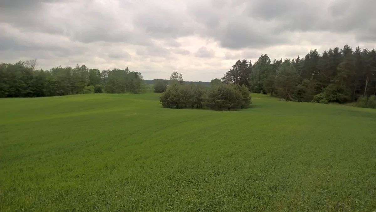 Działka 3 000,00 m², oferta nr , 828719, Stare Juchy