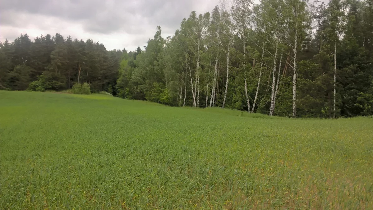 Działka 3 000,00 m², oferta nr , 828719, Stare Juchy