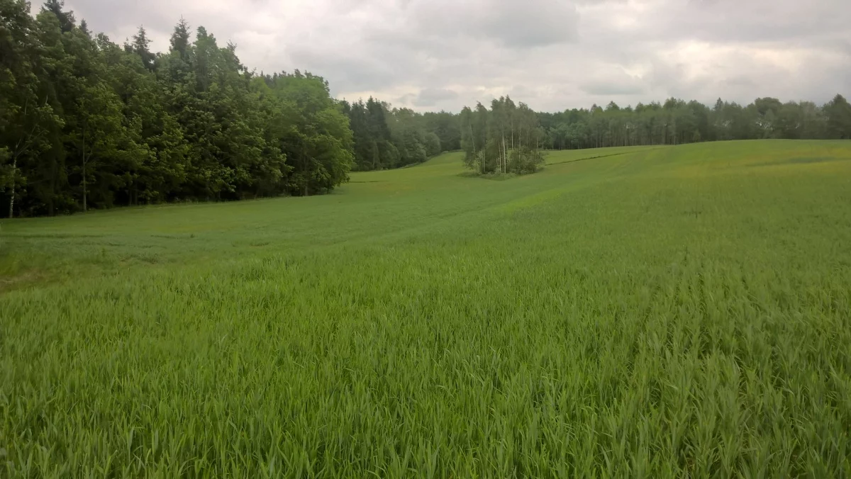 Działka 3 000,00 m², oferta nr , 828719, Stare Juchy