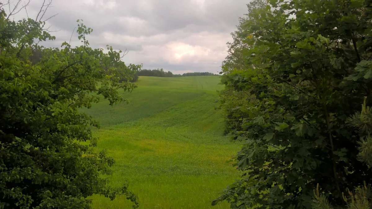 Działka 3 000,00 m², oferta nr , 828719, Stare Juchy
