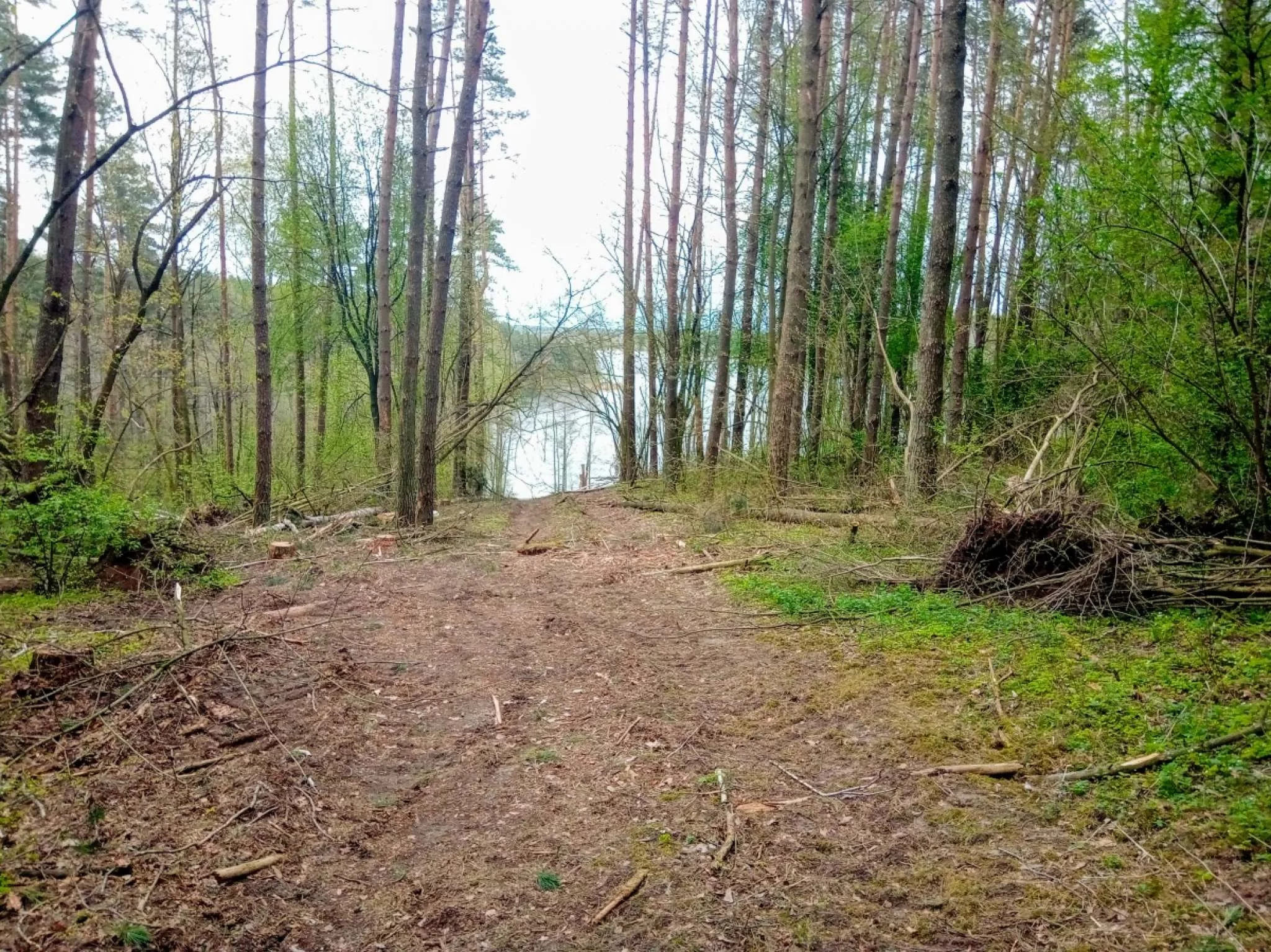 Działka 3 000,00 m², oferta nr , 828719, Stare Juchy