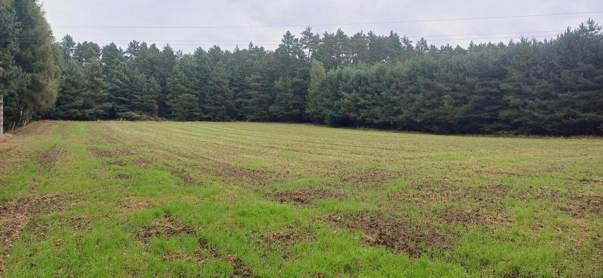 834354 - zdjęcie nr 0
