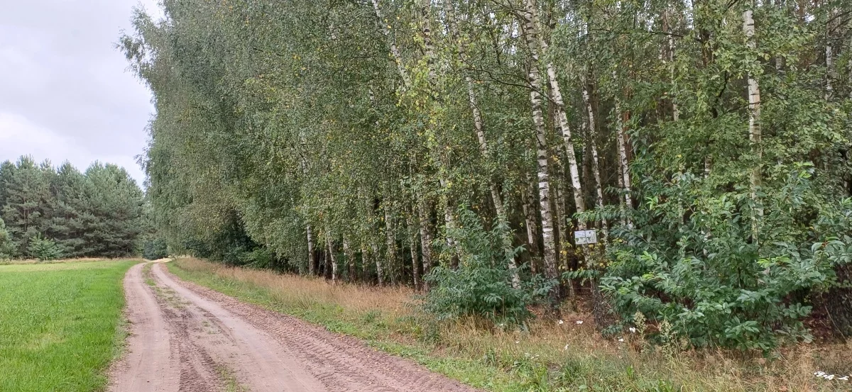 Działka 55 100,00 m², oferta nr , 834354, Stare Lipki