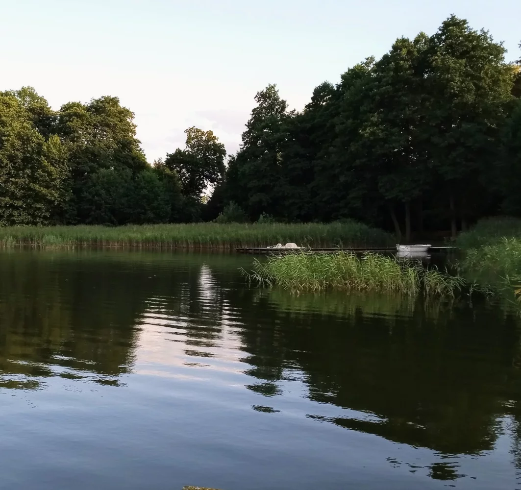 833553 - zdjęcie nr 1