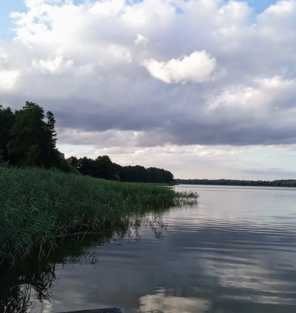 Apartamenty 833555 Stary Gieląd