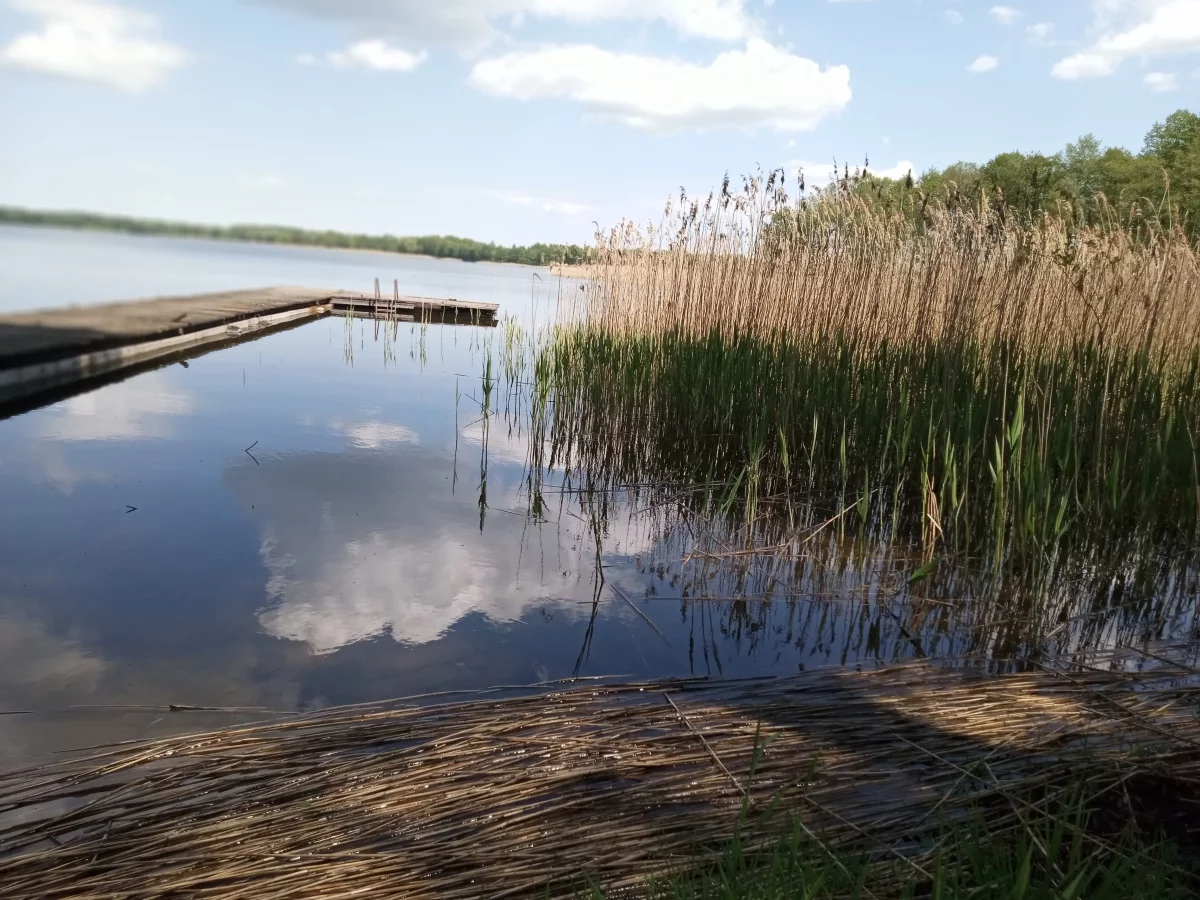 833555 - zdjęcie nr 4