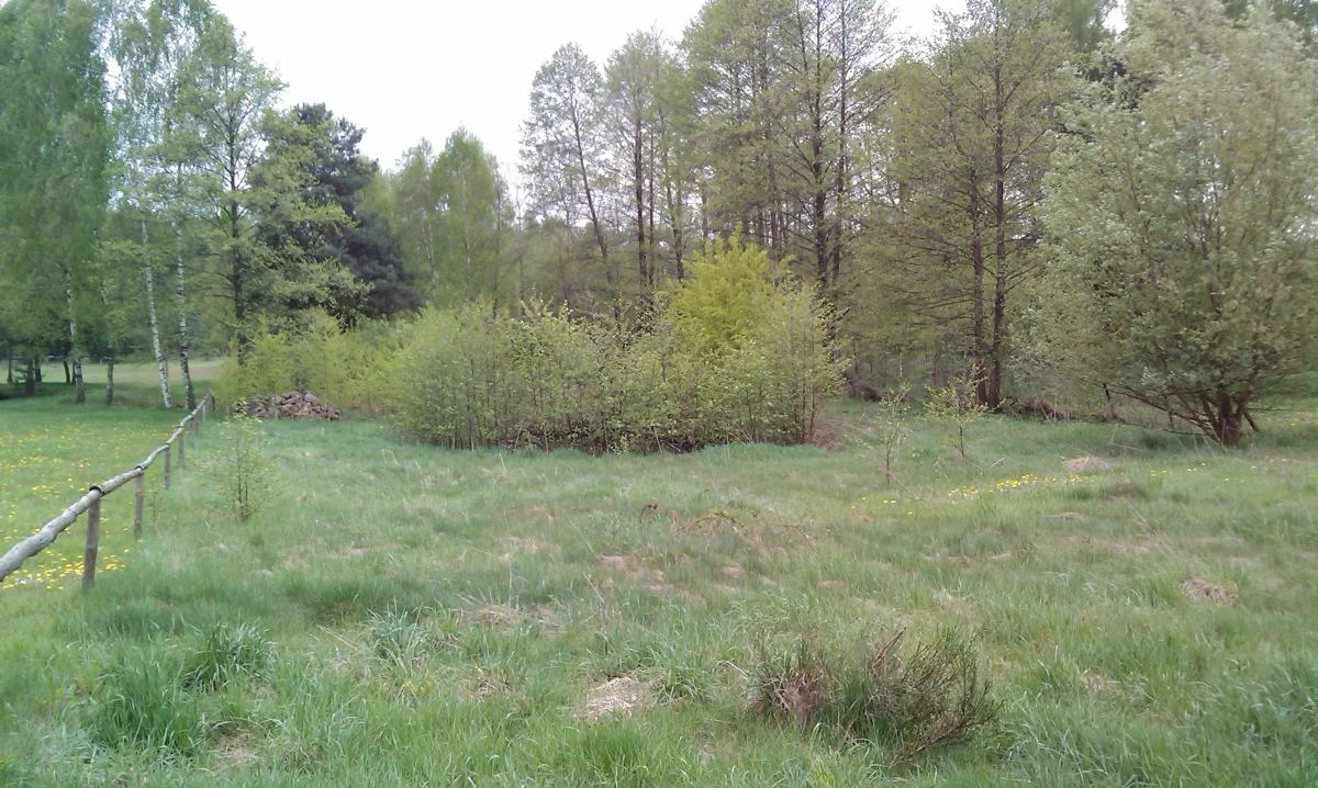 Apartamenty 833134 Stefanówka