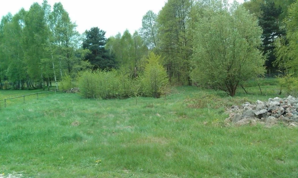 833134 - zdjęcie nr 0