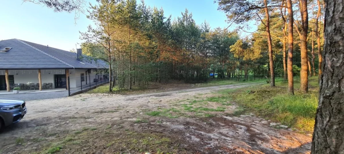 833134 - zdjęcie nr 3