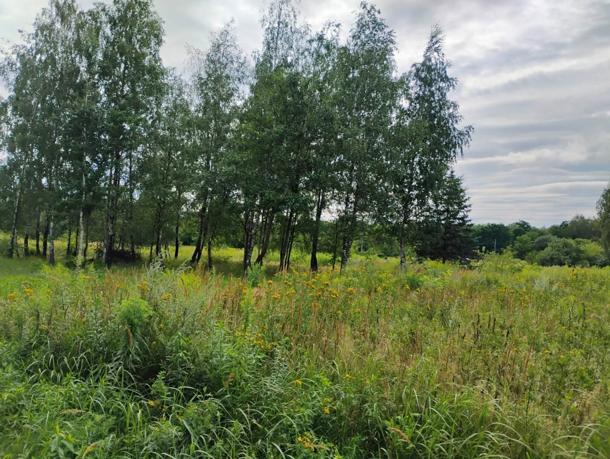Działka 800,00 m², oferta nr , 833495, Łódź, Widzew, Widzew, Stoki