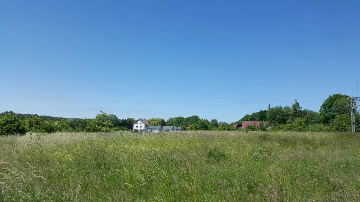 833418 - zdjęcie nr 0