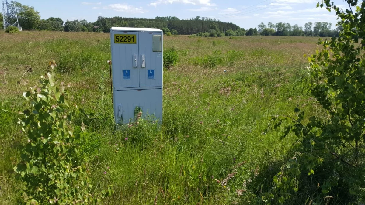 833418 - zdjęcie nr 2