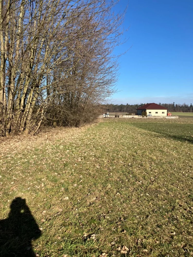 834322 - zdjęcie nr 0