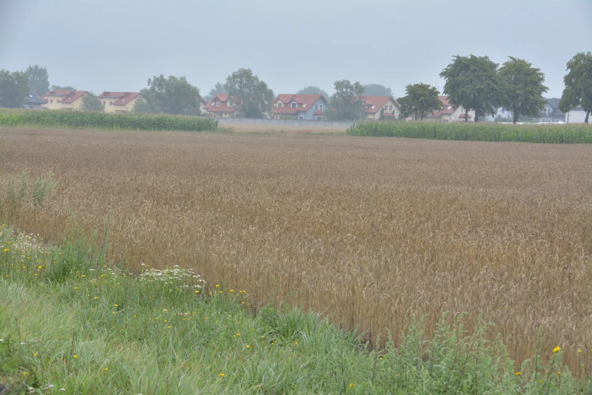 Działka 19 498,00 m², oferta nr , 834086, Konarzewo, Szkolna