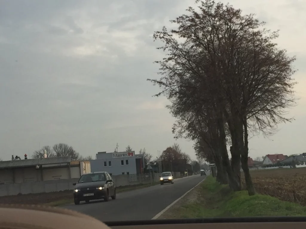 Działka 19 498,00 m², oferta nr , 834086, Konarzewo, Szkolna