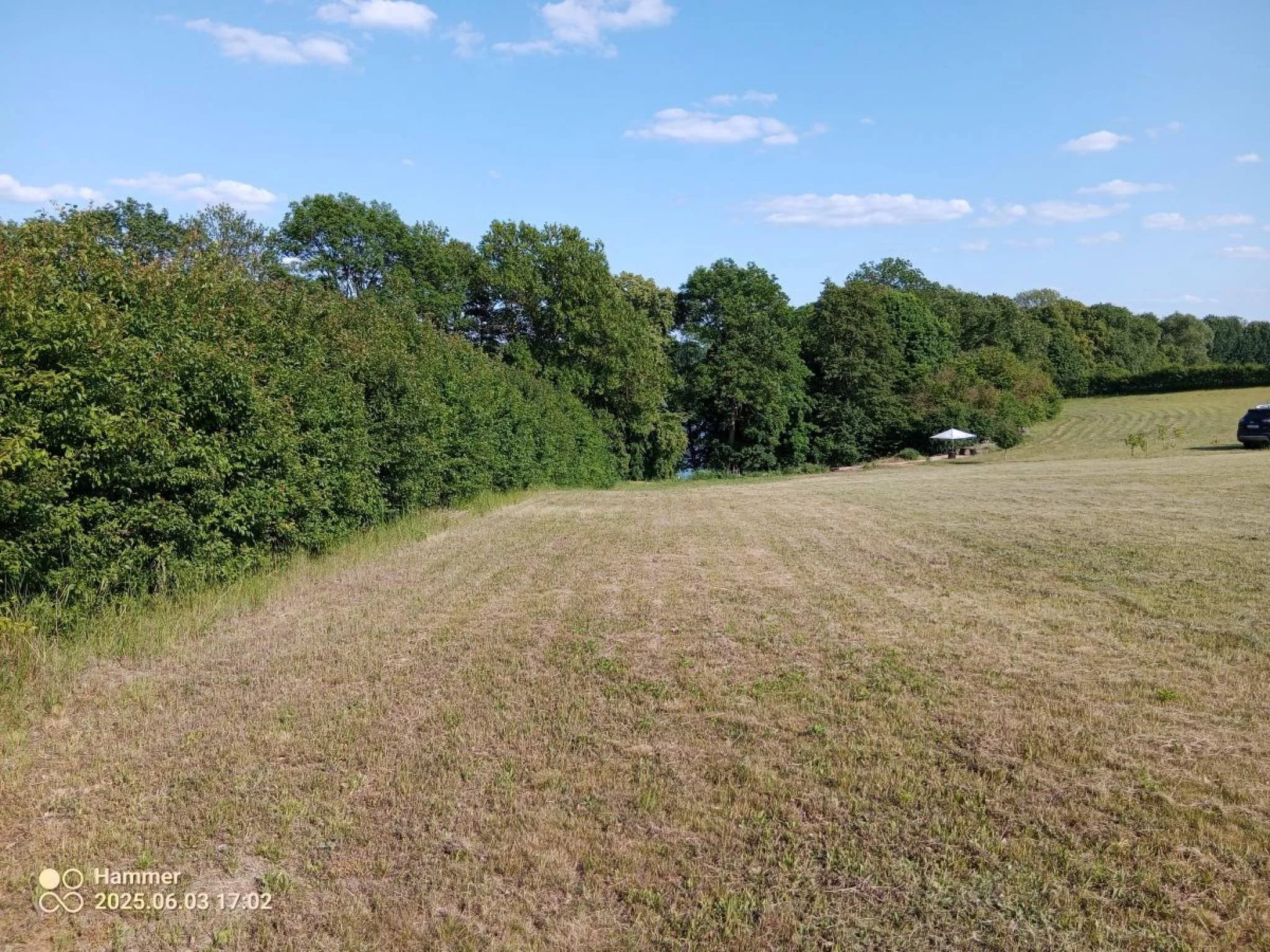 Działka 12 500,00 m², oferta nr , 832790, Trzcińsko-Zdrój, Tchórzono  działka