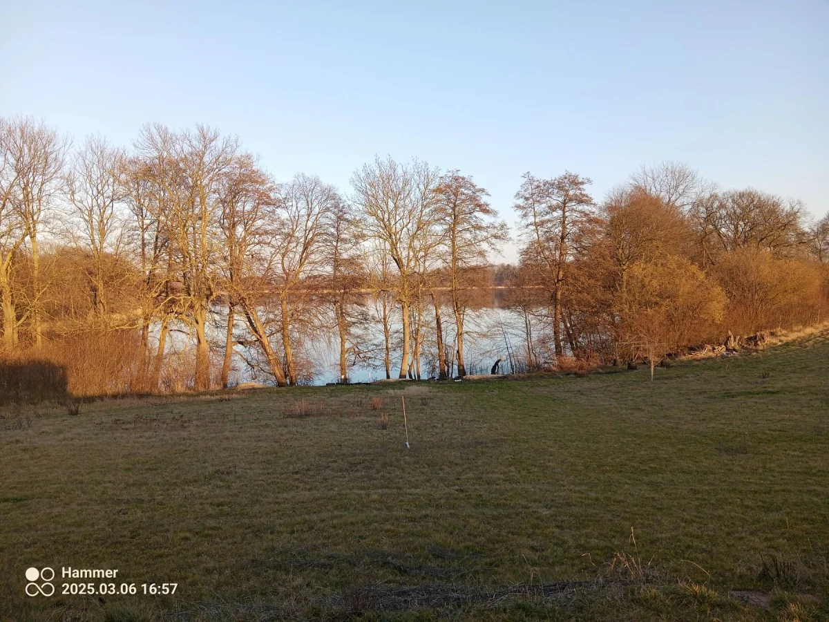 Działka 12 500,00 m², oferta nr , 832790, Trzcińsko-Zdrój, Tchórzono  działka