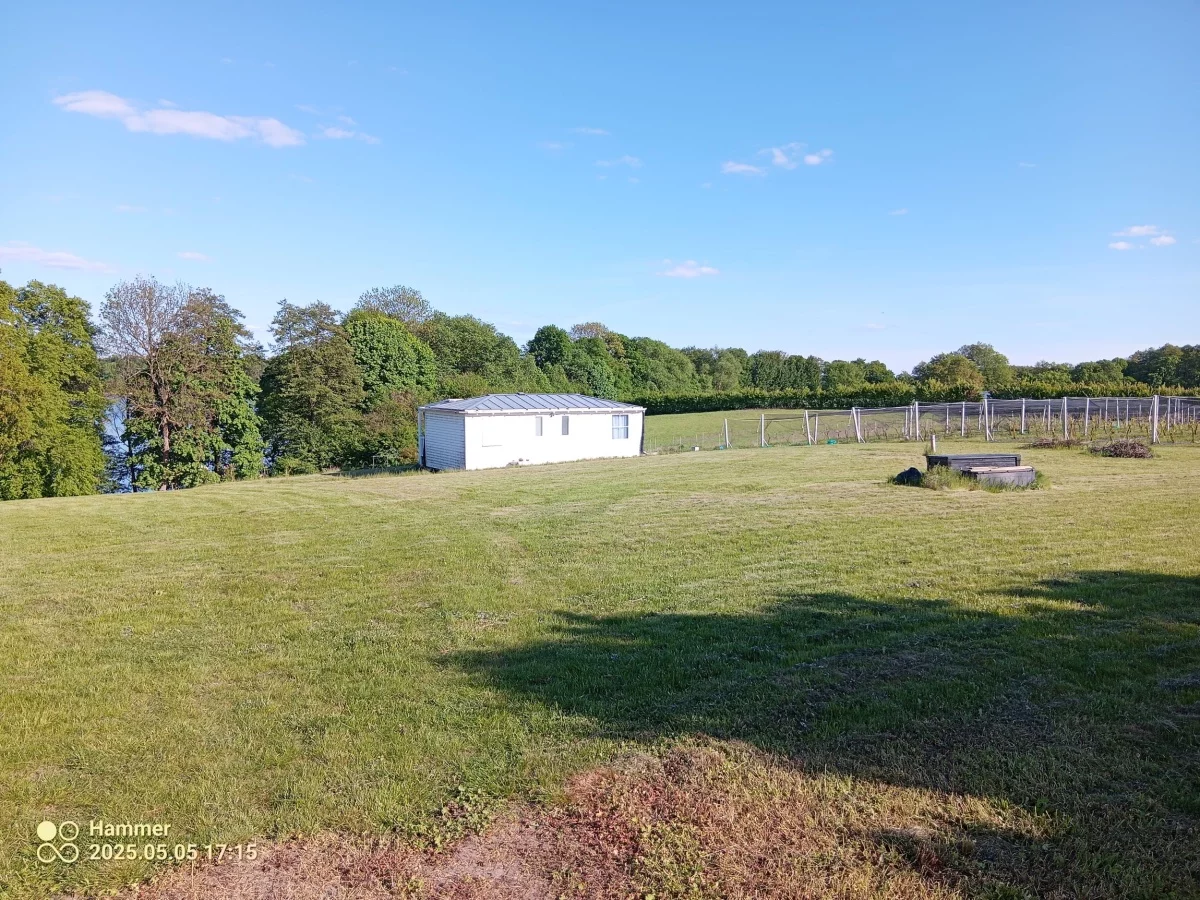 Działka 12 500,00 m², oferta nr , 832790, Trzcińsko-Zdrój, Tchórzono  działka