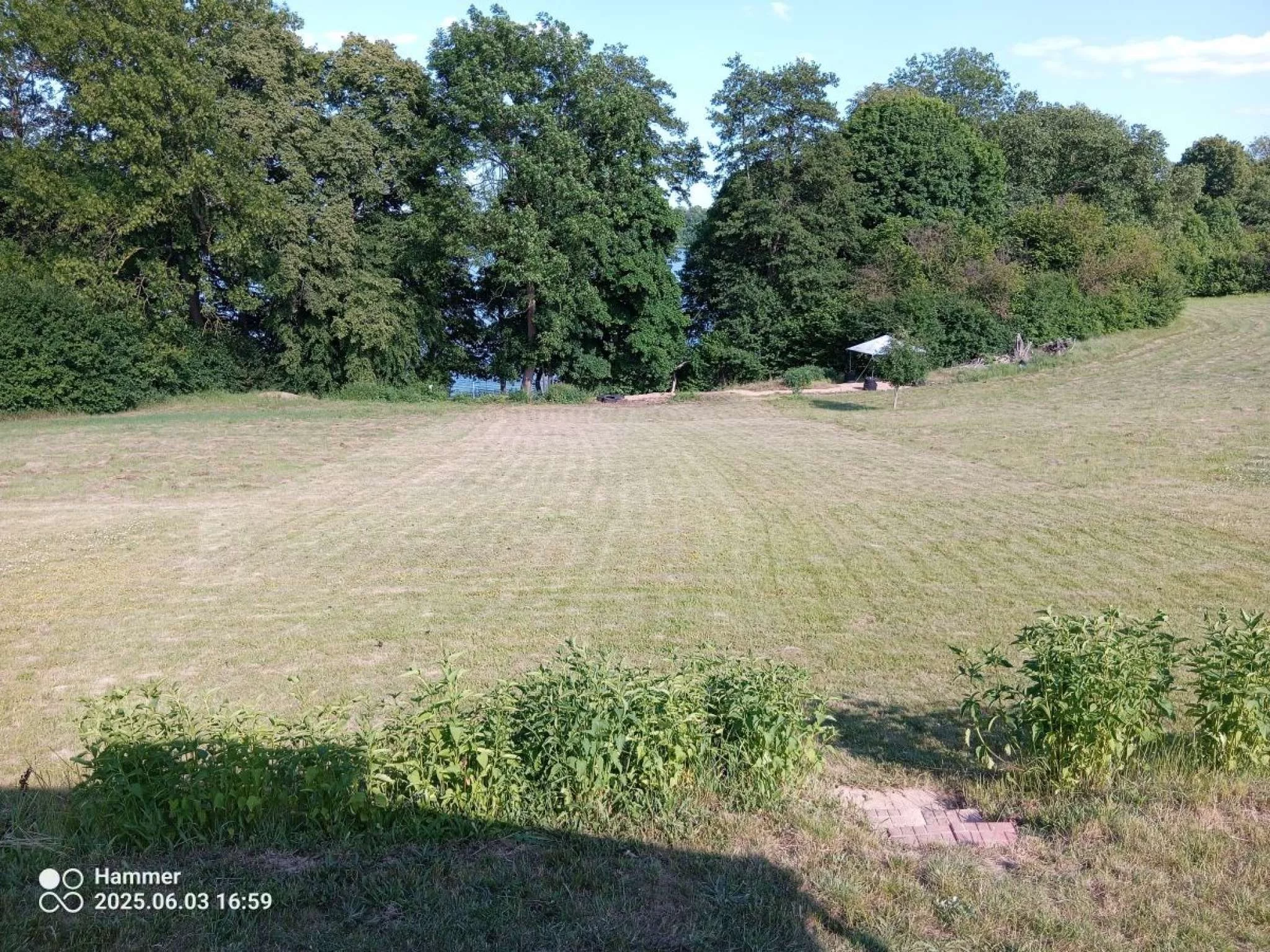 Działka 12 500,00 m², oferta nr , 832790, Trzcińsko-Zdrój, Tchórzono  działka