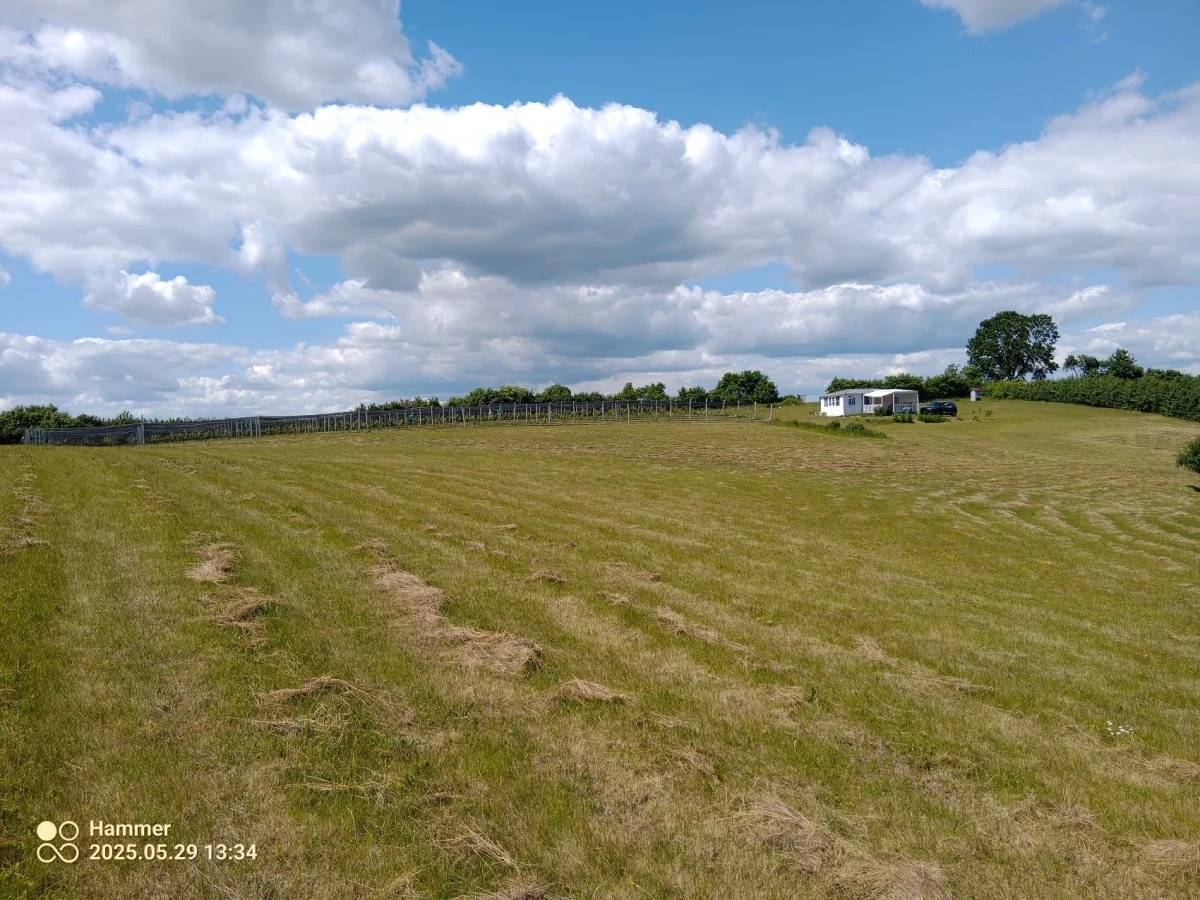 Działka 12 500,00 m², oferta nr , 832790, Trzcińsko-Zdrój, Tchórzono  działka