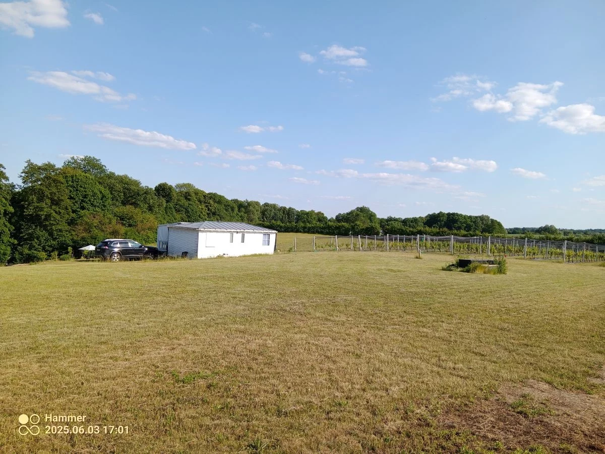 Działka 12 500,00 m², oferta nr , 832790, Trzcińsko-Zdrój, Tchórzono  działka