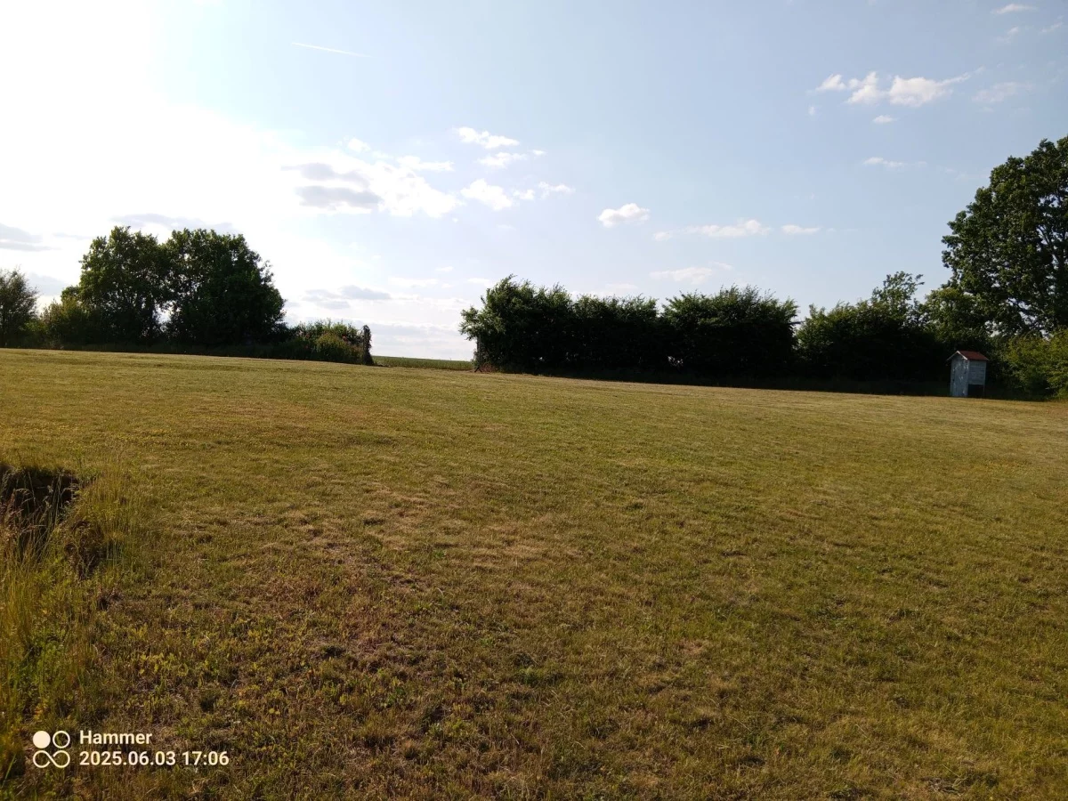 Działka 12 500,00 m², oferta nr , 832790, Trzcińsko-Zdrój, Tchórzono  działka